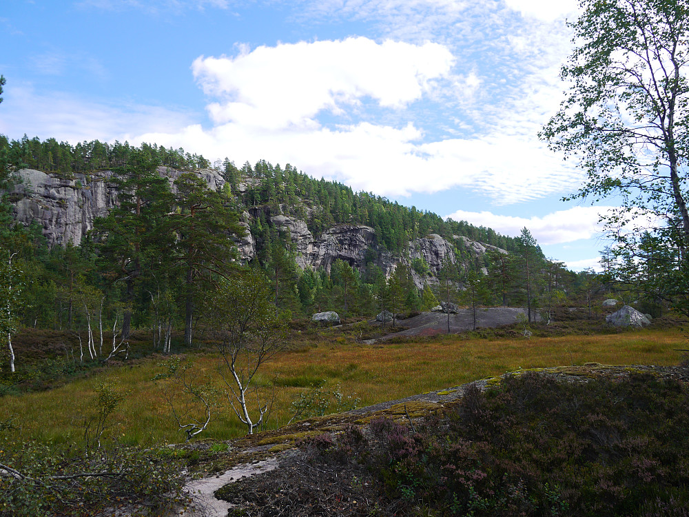 Gaupenapen sett fra veien