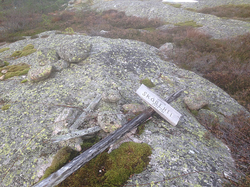 Skorehei