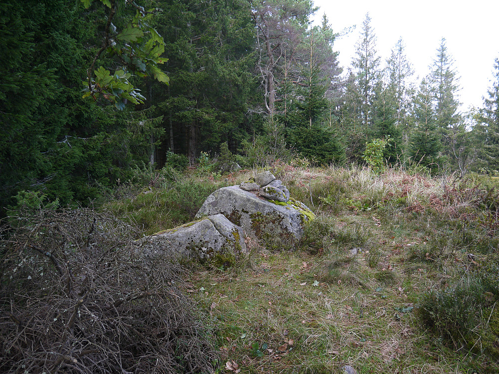 Havsåsknuten