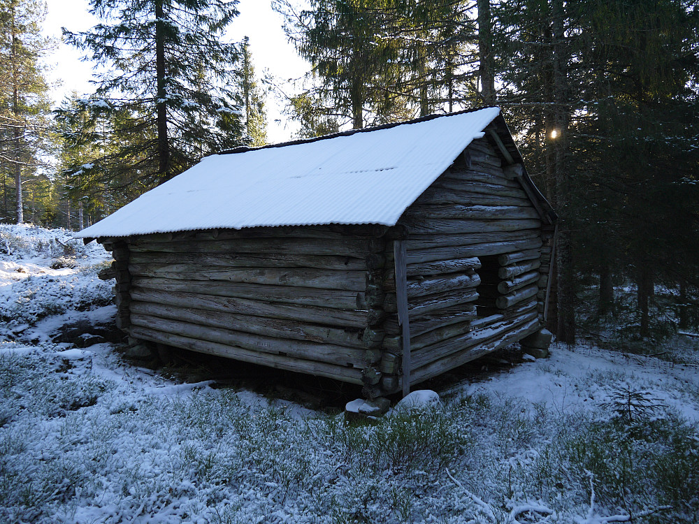 Reinshonnløa