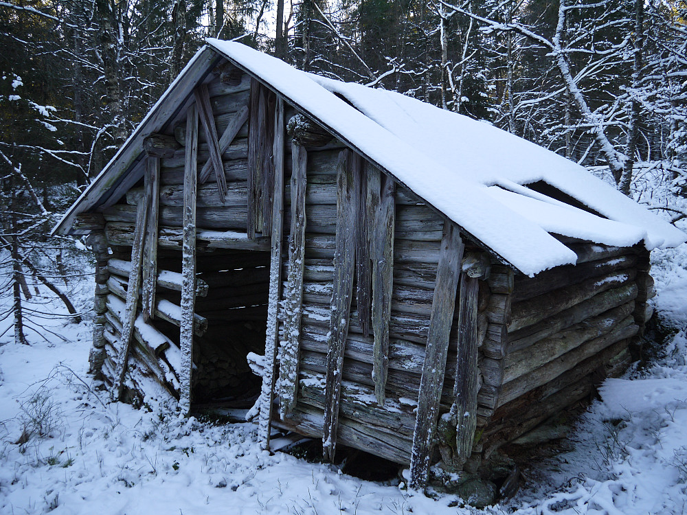 Årekjerrløa