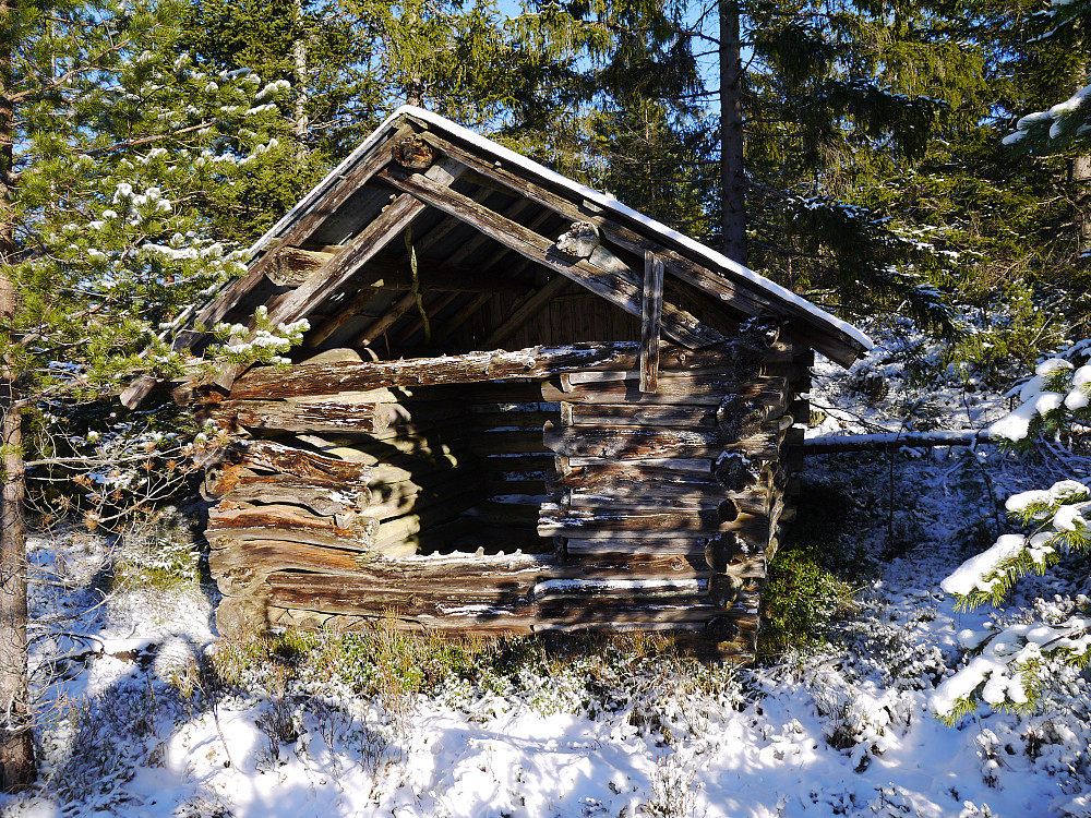 Hestetjønnløa