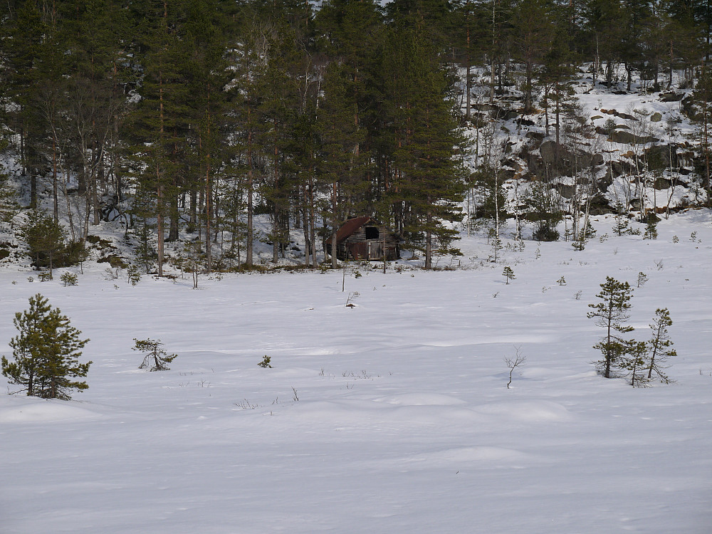 Skogsløe ved Hisdalmyr
