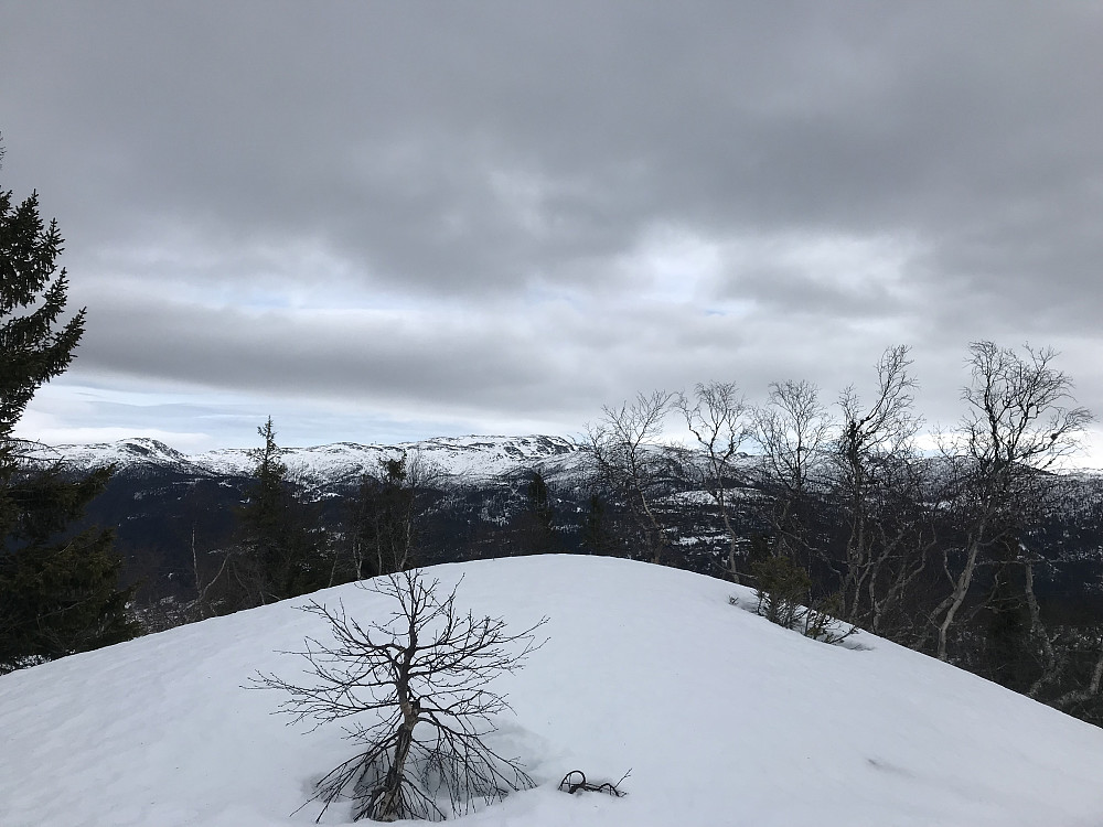 Ljomsnuten i bakgrunnen