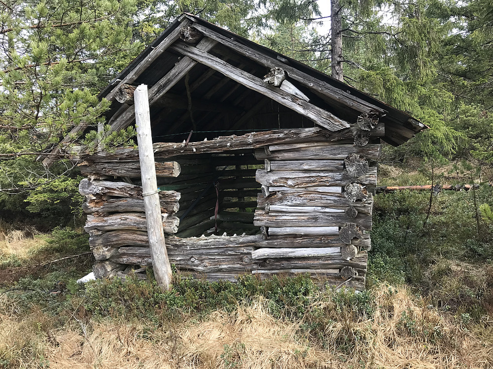 Hestetjønn