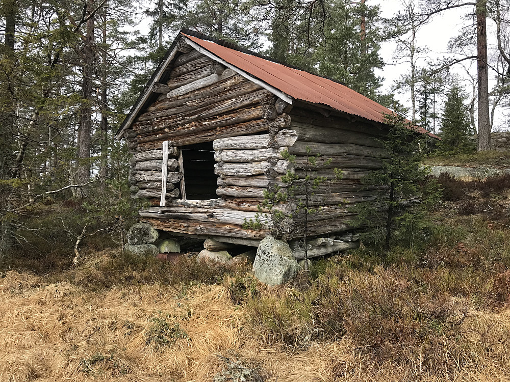 Viemyr