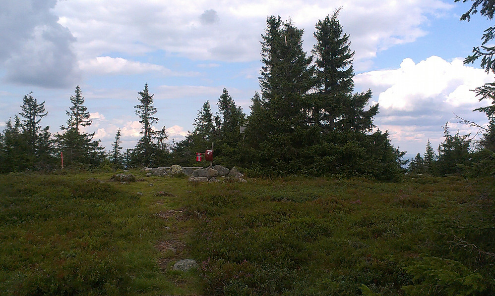 Flagg på toppen
