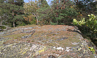 Barmsheia