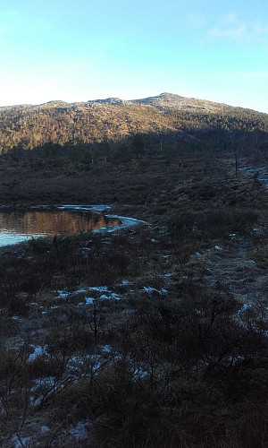 Melsåta