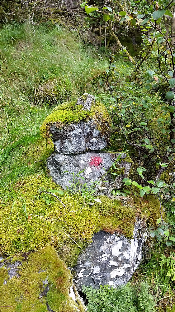 Mange gamle varder er dekket av mose, men noen røde merker viser fremdeles. Stien er nesten overgrodd mange steder.