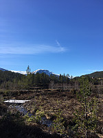 Øydis52_20170519_591f173168dbd.jpg