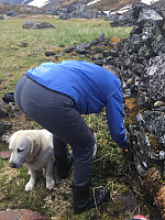 Øydis52_20170601_593067591c4ea.jpg