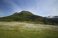 Fisher_20180605_5b16fc14caa4c.jpg