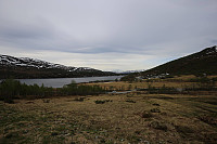 Fisher_20180605_5b17026cd4e34.jpg