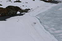 Fisher_20180605_5b1702768934c.jpg
