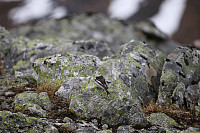 Fisher_20180605_5b170280e4e48.jpg