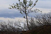 Fisher_20180605_5b170289756b1.jpg