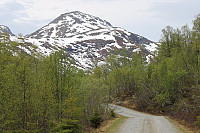 Fisher_20180605_5b17028dcaf95.jpg