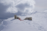 hjelmeland_20160802_57a10c7eb364b.jpg