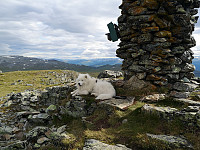 hjelmeland_20200804_5f29cdb66c7f4.jpg