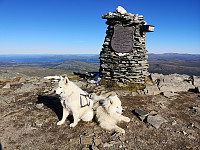 hjelmeland_20200902_5f4ec7b1399c7.jpg