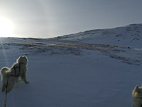 hjelmeland_20201101_5f9f35378f627.jpg