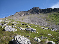 hjelmeland_img_9338.jpg