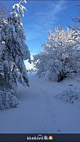 Fjellskoen_20170127_588a9c2aa293f.jpg