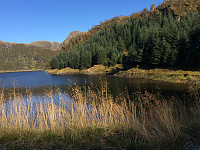 Fjellskoen_20170924_59c70c3b4a5ce.jpg