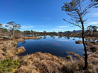 Polarjoen_20200417_5e998a3e0cb1b.jpg