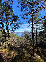 Polarjoen_20200417_5e998a3e9b8a8.jpg