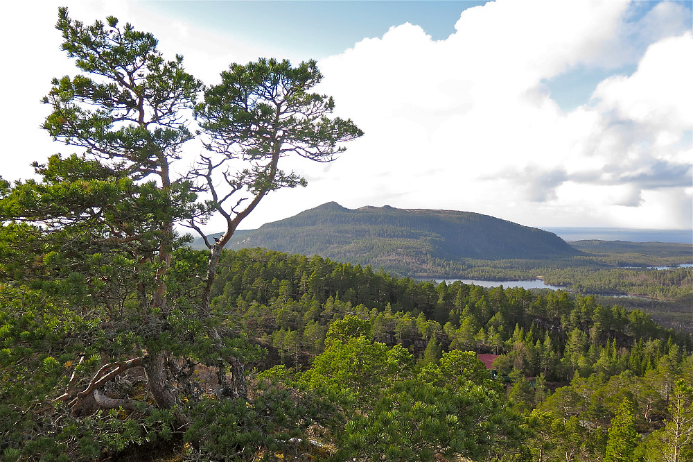 Frå Storhaugen mot Singsetten