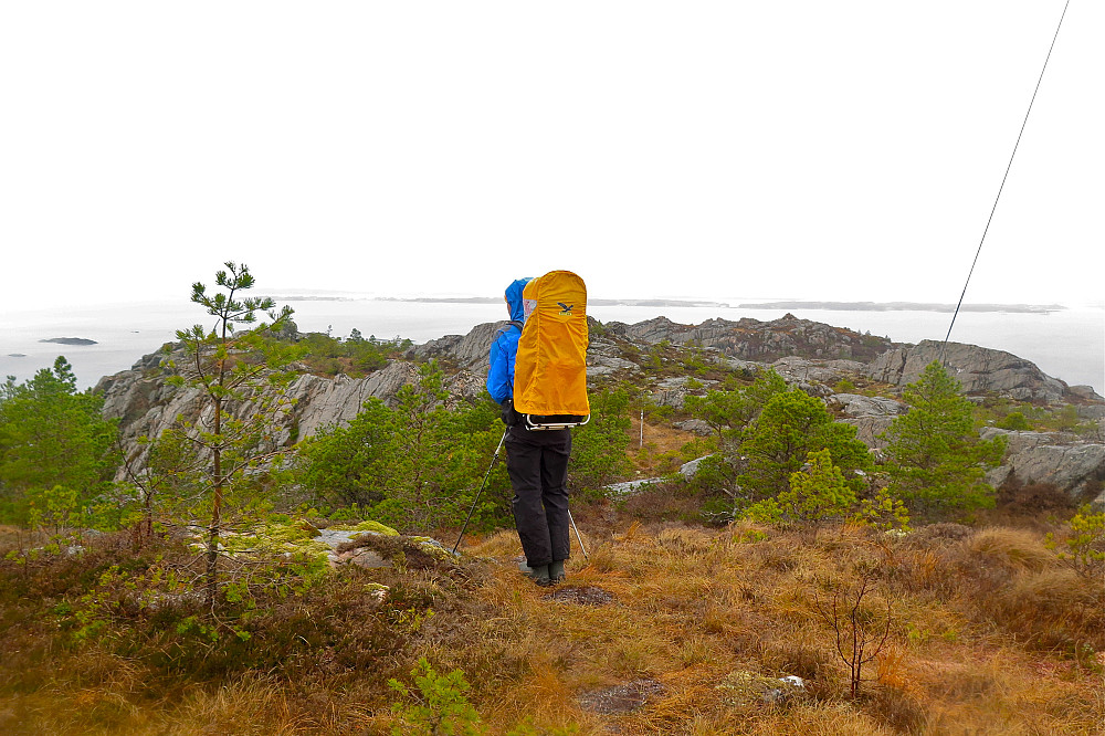 Ved masta på Høvikfjellet.