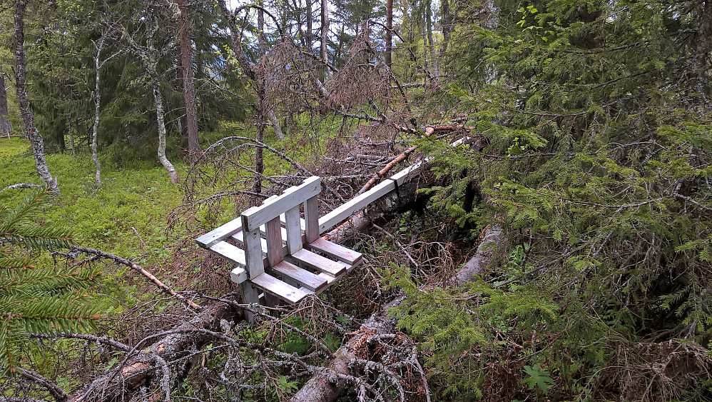 Trigpkt på Byåsen