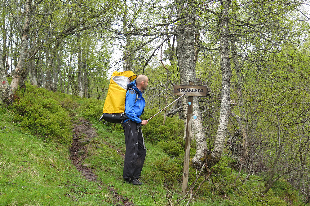 God merking mot Skåkleiva