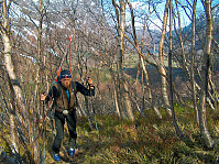 boven_20151126_565761375fccc.jpg