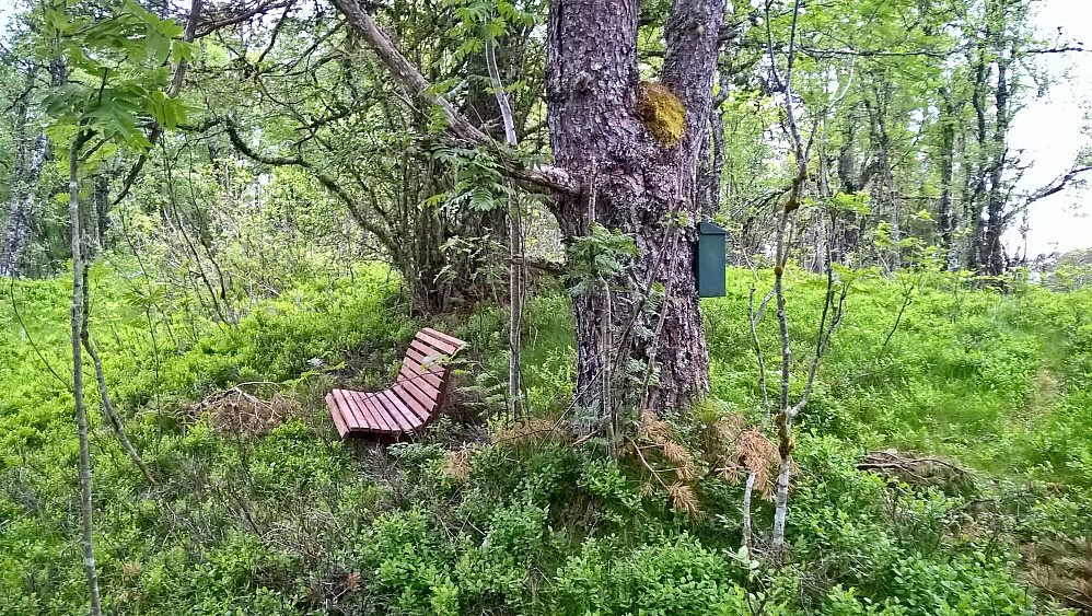 Kasse med bok og benk på Bjerkalia.