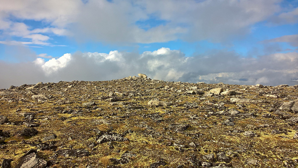 1594-toppen med stor stein som høgste punkt