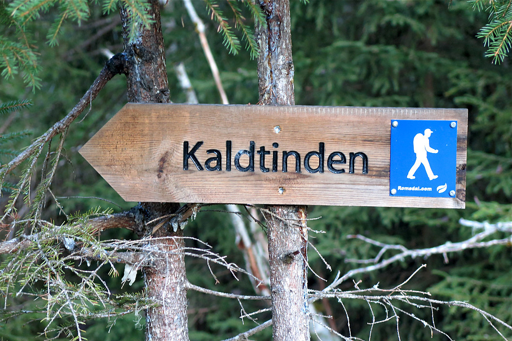 Det er lett å finne fram til Kaldtinden. Først langs skogsveg og så over på god sti opp gjennom skogen.