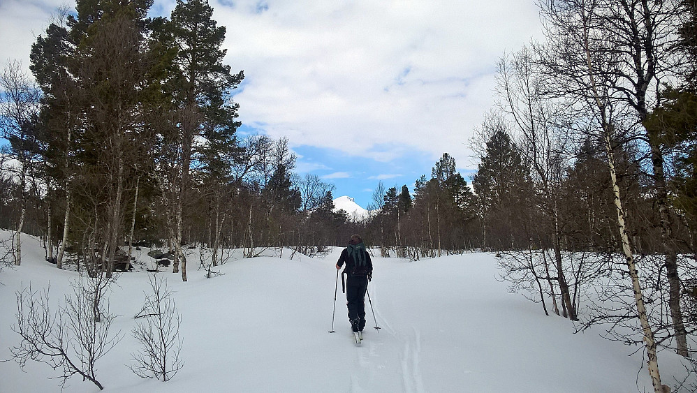 Torleiv går mot Dønttinden der framme. Den var ikkje på blokka før neste dag då det var meldt endå trivelegare ver.