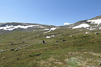boven_20180706_5b3fd2a647b17.jpg