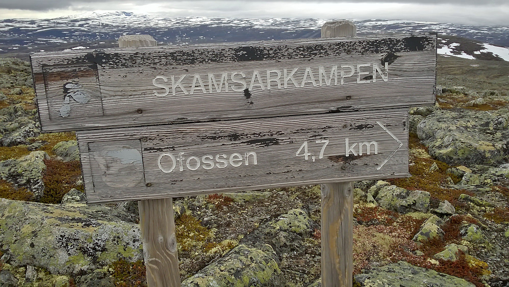 Skamsarkampen