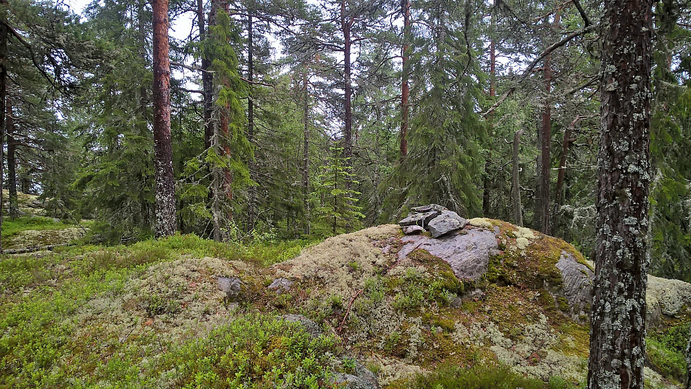 Bakliåsen