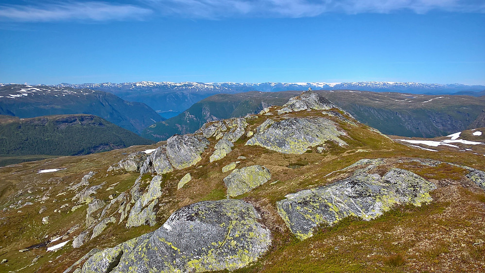 Urdeggi