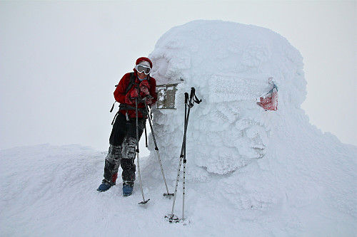 Resfjellet 1161