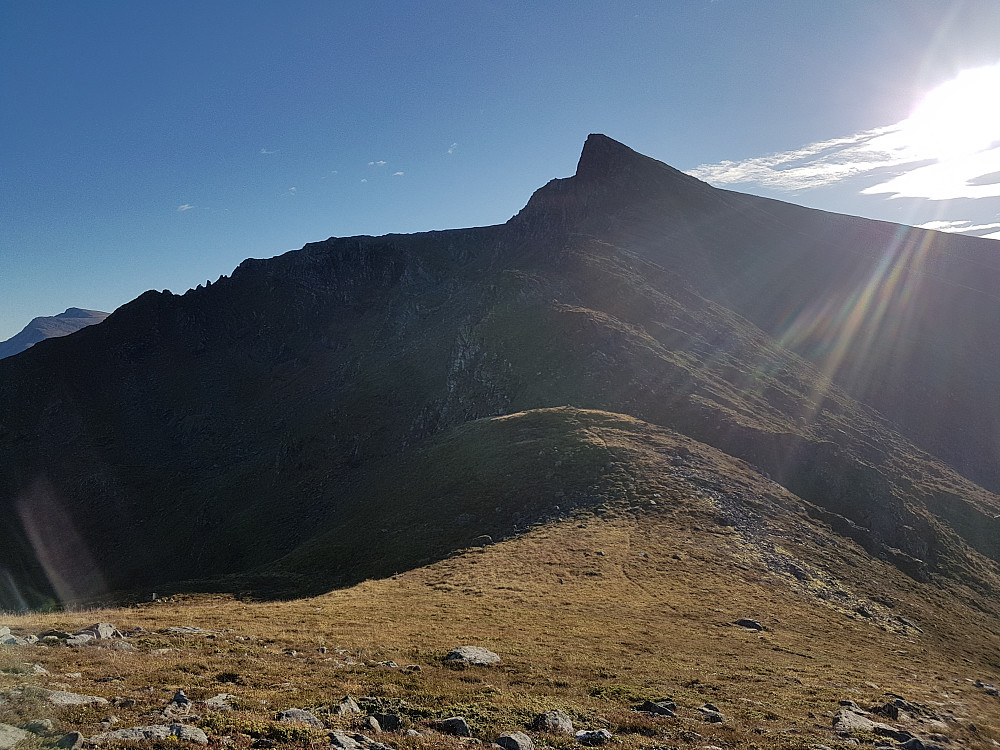 Høgheia