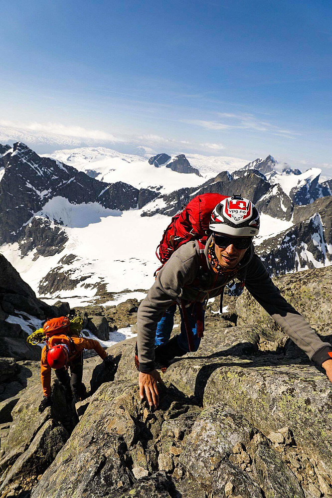 Svaene. Foto: Haakon Lundkvist