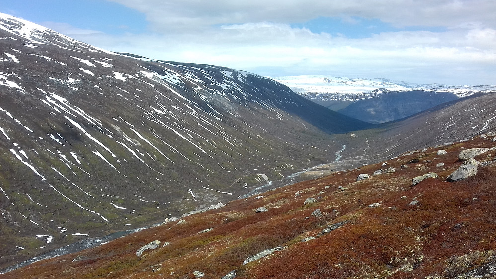 Tundradalen nordover og nedover.