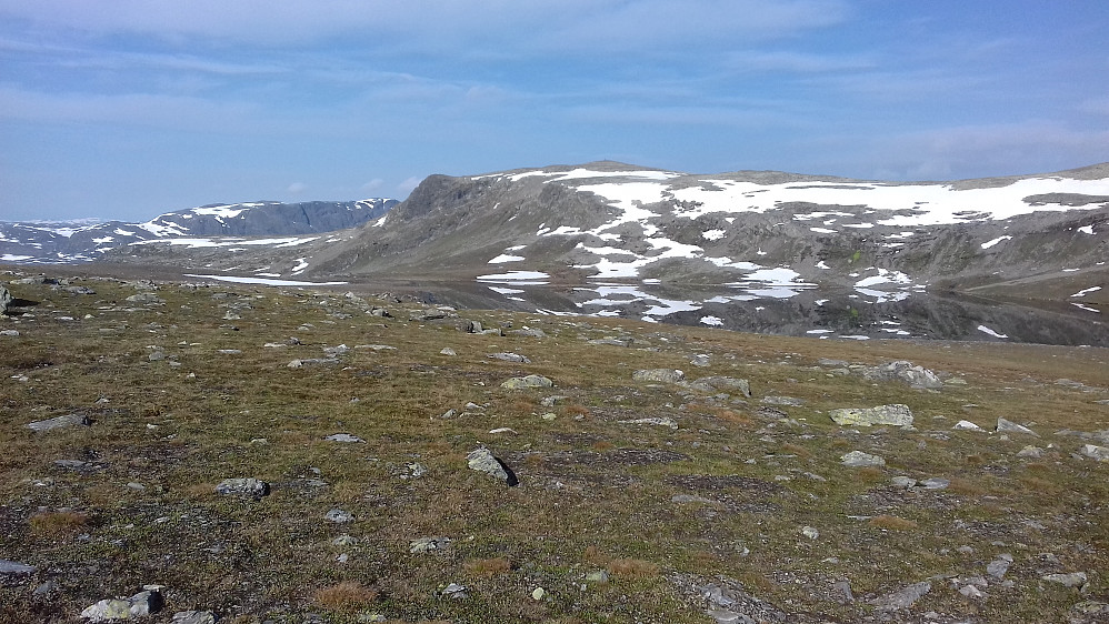 Idyll ved Nevreskardtjerne. Her var det virkelig koselig med klukke-bekker og generelt fjellsus i varmen...