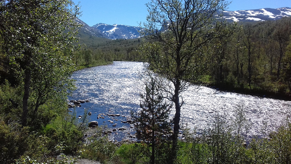 "Å du herlige Børgefjell!" Som Monsen tidligere har skrevet det. Dette var mitt tredje besøk i området, og det slår meg alltid hvor vakkert det er her! Simskardelva med Kvigtinden så vidt stikkende opp bakerst hilser meg blidt velkommen...